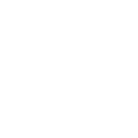 Map icon